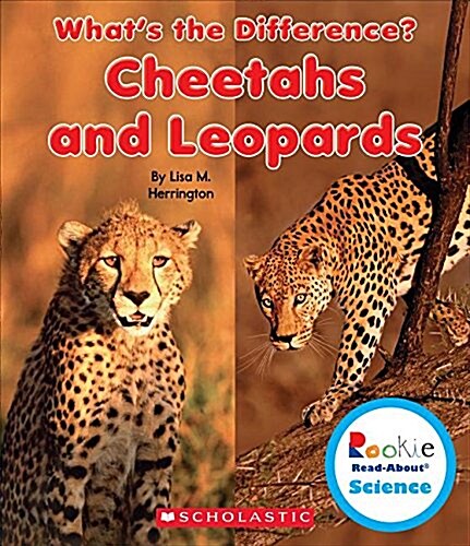 Cheetahs and Leopards (Library Binding)