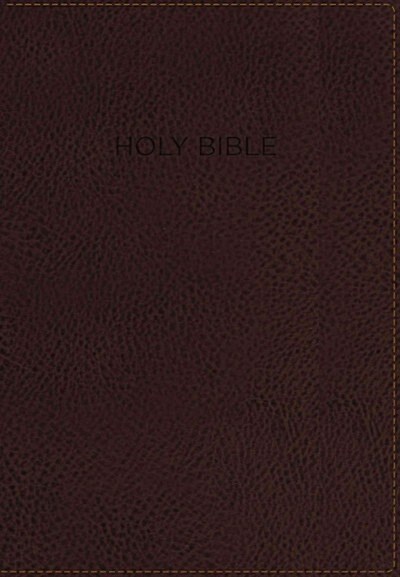 [중고] Foundation Study Bible-NIV (Imitation Leather)