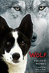 Wolf (Paperback)