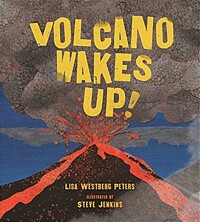 Volcano wakes up!
