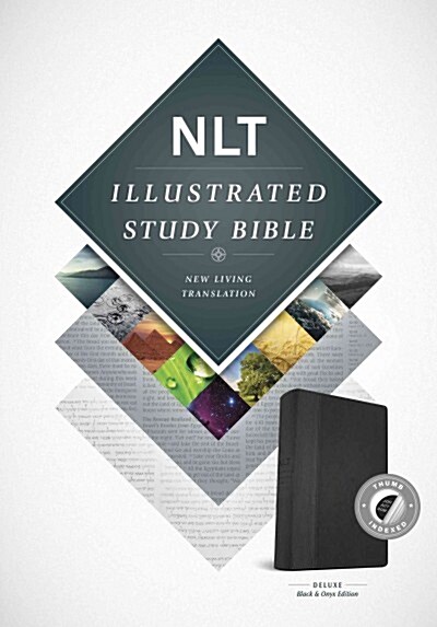 Illustrated Study Bible-NLT (Imitation Leather)