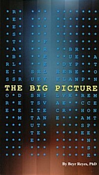 The Big Picture (Paperback)