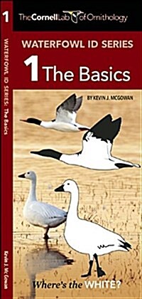 Waterfowl Id Series: 1 the Basics (Paperback)