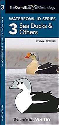 Waterfowl Id Series: 3 Sea Ducks & Others (Paperback)