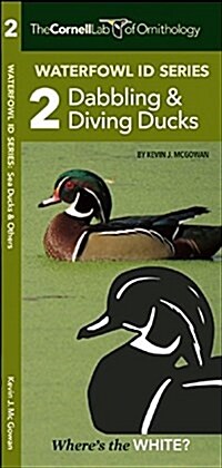 Waterfowl Id Series: 2 Dabbling & Diving Ducks (Paperback)