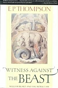 Witness Against the Beast: William Blake and the Moral Law (Paperback)