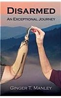 Disarmed: An Exceptional Journey (Paperback)