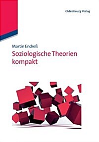 Soziologische Theorien Kompakt (Paperback)