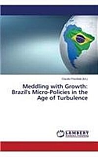 Meddling with Growth: Brazils Micro-Policies in the Age of Turbulence (Paperback)