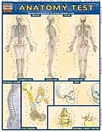 Anatomy Test (Cards, LAM)