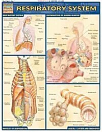 Respiratory System (Loose Leaf)