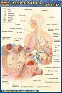 Respiratory System (Other)