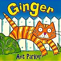 Ginger (Paperback, 2nd)