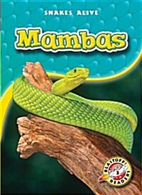 Mambas (Paperback)