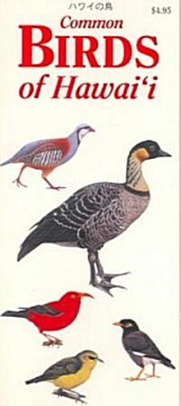 Common Birds Of Hawaii (Paperback, LAM)