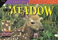 In the Meadow (Paperback)