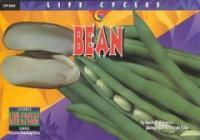 Bean (Paperback)