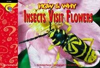 How and Why Insects Visit Flowers (Paperback)