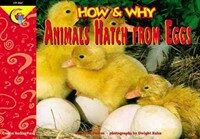 How and Why Animals Hatch from Eggs (Paperback)