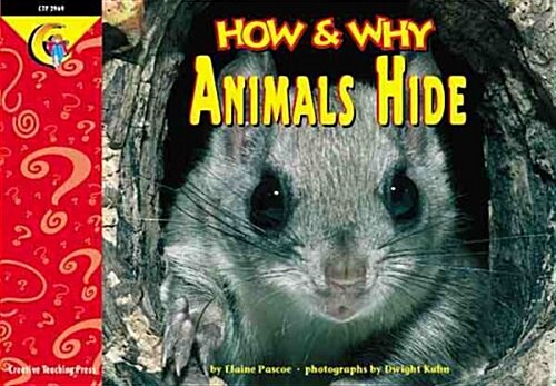 [중고] How and Why Animals Hide (Paperback)