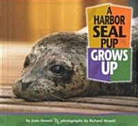 A Harbor Seal Pup Grows Up (Hardcover)
