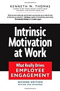 Intrinsic Motivation at Work: Building Energy and Commitment (Paperback, 2)