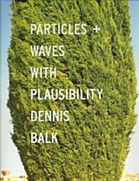 Particles + Waves With Plausibility (Hardcover)