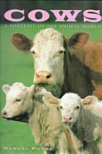 [중고] Cows (Hardcover)