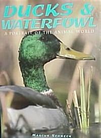 Ducks & Waterfowl: A Portrait of the Animal World (Hardcover)