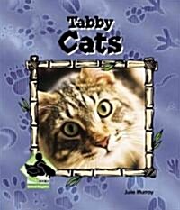 Tabby Cats (Library Binding)