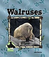 Walruses (Library Binding)