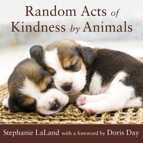 Random Acts of Kindness by Animals: (Animal Stories for Adults, Animal Love Book) (Paperback)