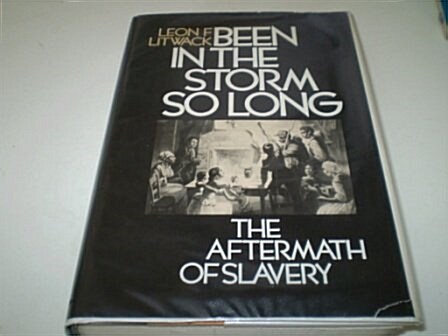 Been in the Storm So Long: The Aftermath of Slavery (Hardcover, 1st)