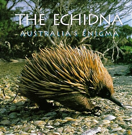 The Echidna (Hardcover)