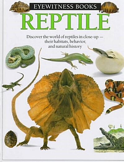 [중고] Dk Eyewitness Reptile (Hardcover)