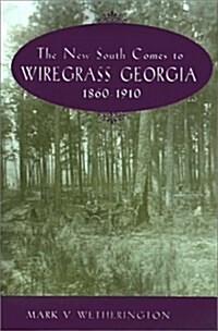 The New South Comes to Wiregrass Georgia, 1860-1910 (Paperback)