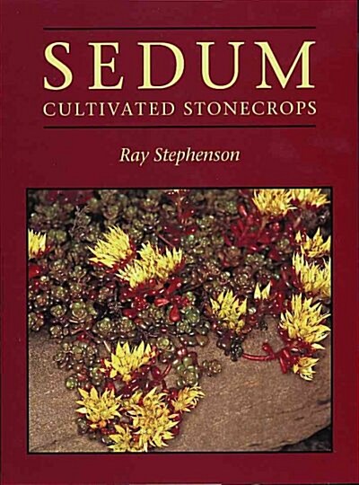 Sedum (Hardcover)