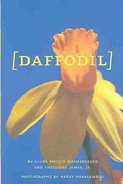 Daffodil (Hardcover)