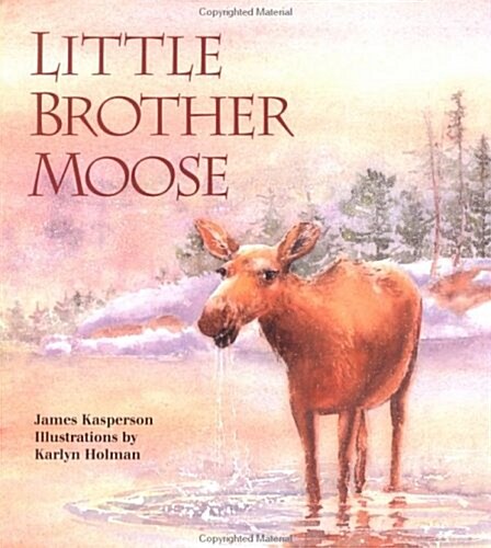 Little Brother Moose (School & Library, 1st)