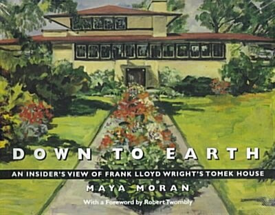 Down to Earth (Paperback)