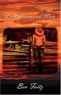 Lost Diamond Man (Paperback)