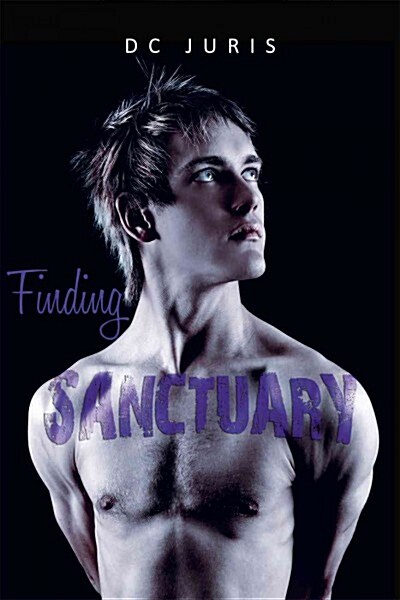 Finding Sanctuary (Paperback)