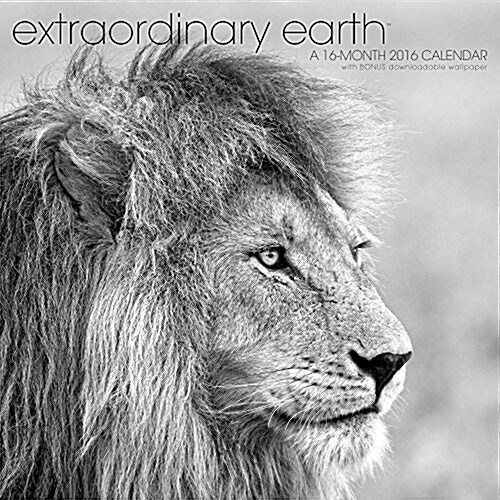 Extraordinary Earth 2016 Calendar (Calendar, Wall)