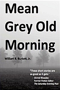 Mean Grey Old Morning (Paperback)