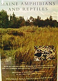 Maine Amphibians & Reptiles (Paperback)