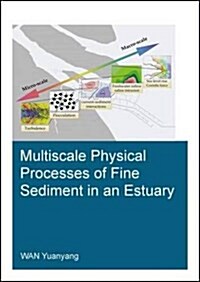 Multiscale Physical Processes of Fine Sediment in an Estuary (Paperback)