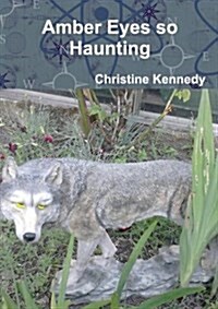 Amber Eyes So Haunting (Paperback)