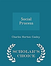 Social Process - Scholars Choice Edition (Paperback)