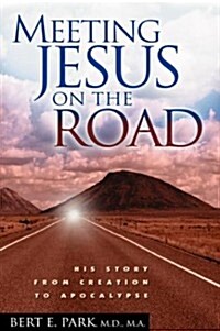 Meeting Jesus on the Road (Paperback)