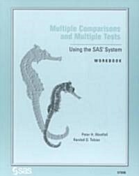 Multiple Comparisons and Multiple Tests (Paperback, Workbook)